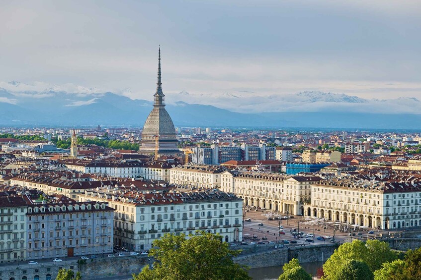 Picture 3 for Activity Turin: National Museum of Cinema & Mole Antonelliana Tour