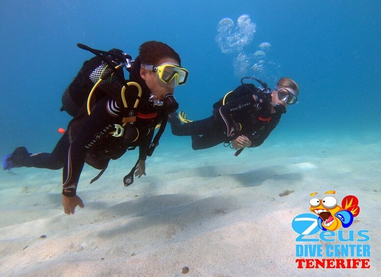 Picture 23 for Activity Tenerife: Abades Beach Beginner Diving Experience