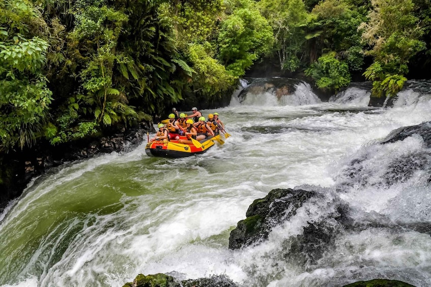 Picture 1 for Activity Kaituna River and Tutea Falls Whitewater Rafting