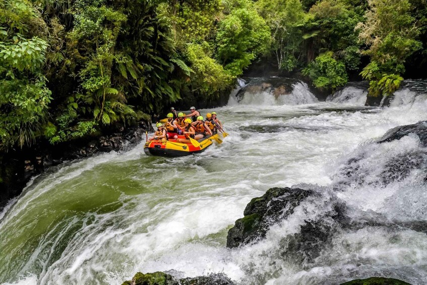 Picture 1 for Activity Kaituna River and Tutea Falls Whitewater Rafting
