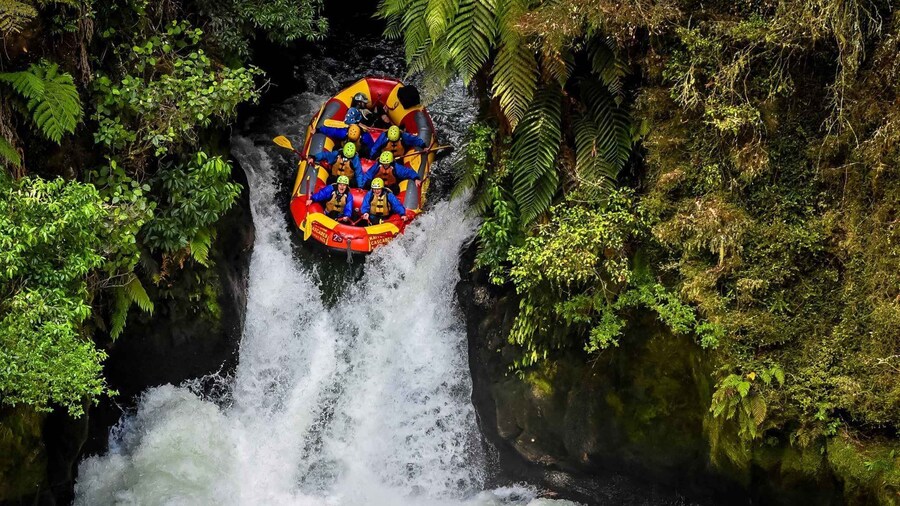Kaituna River and Tutea Falls Whitewater Rafting