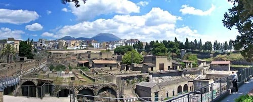 Herculaneum Ruins Day Trip from Naples