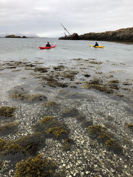 Picture 1 for Activity Stykkishólmur: 2-Hour Sea Kayak Tour