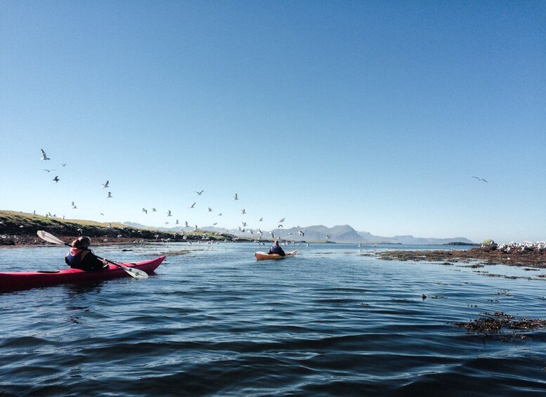 Picture 2 for Activity Stykkishólmur: 2-Hour Sea Kayak Tour