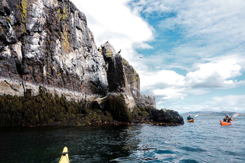 Picture 3 for Activity Stykkishólmur: 2-Hour Sea Kayak Tour