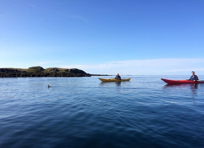 Stykkishólmur: 2-Hour Sea Kayak Tour