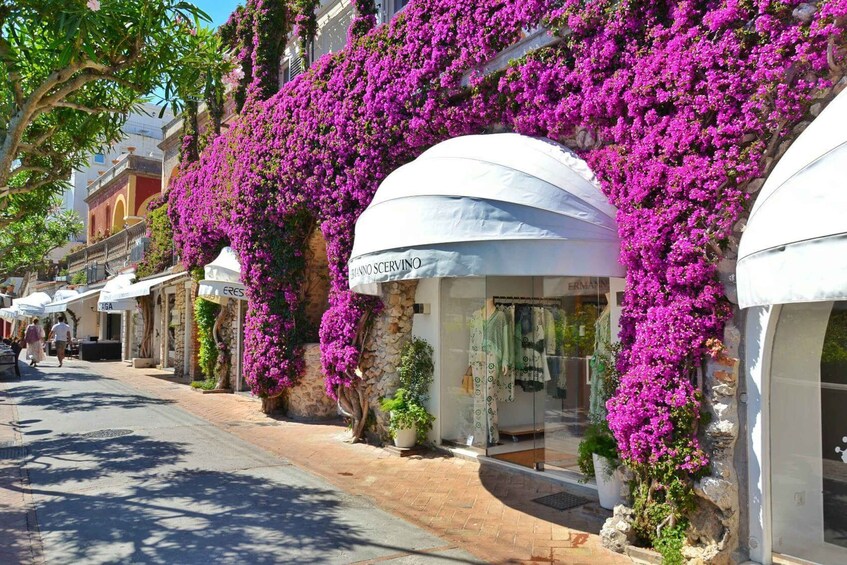 Picture 8 for Activity Naples: Capri Island by Hydrofoil