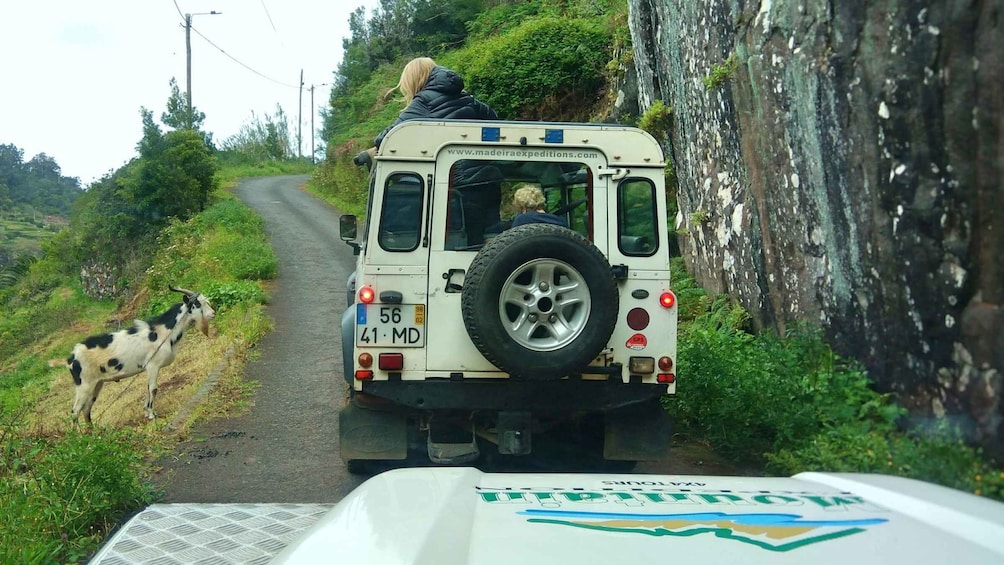 Picture 2 for Activity Madeira: Mini-Combo East Challenge: Jeep Safari + Levada