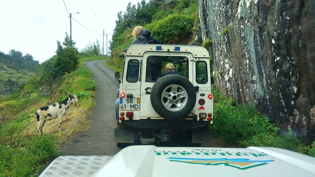 Picture 2 for Activity Madeira: Mini-Combo East Challenge: Jeep Safari + Levada