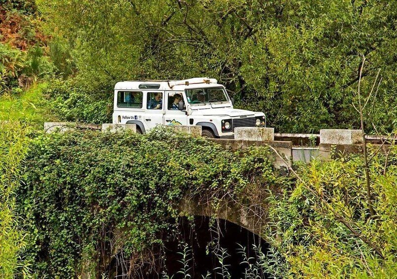 Picture 7 for Activity Madeira: Mini-Combo East Challenge: Jeep Safari + Levada