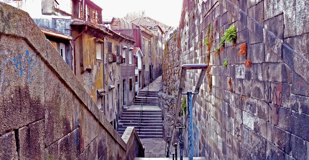 Porto: Private Bike Tour with a Local Guide