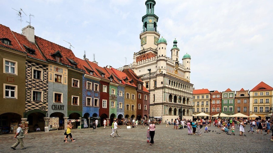 Poznan Old Town and Citadel Park Private Walking Tour