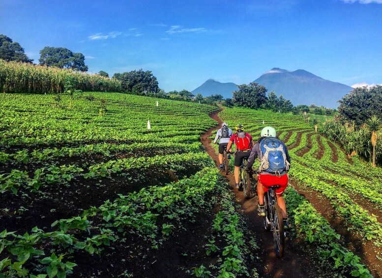 Picture 3 for Activity From Antigua: Lake Atitlán Mountain Biking Adventure