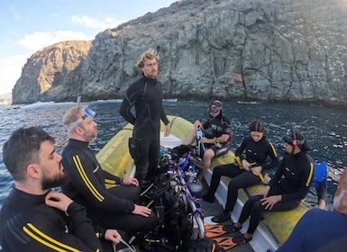 Tenerife: duiken voor gecertificeerde duikers in Puerto Colon