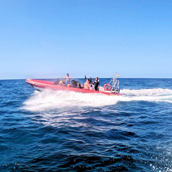 Picture 8 for Activity Tenerife: Scuba Diving for Certified Divers in Tenerife