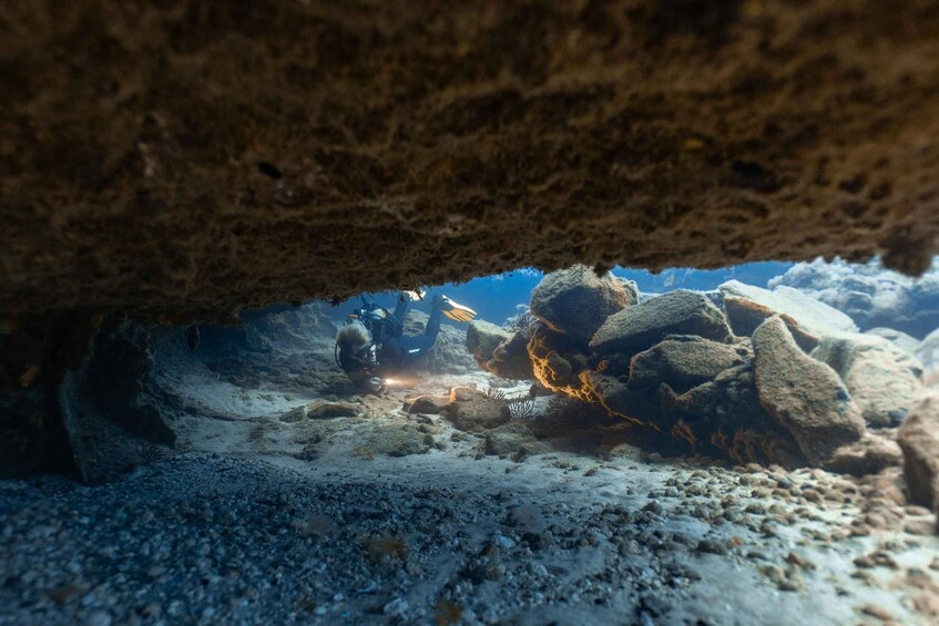 Picture 6 for Activity Tenerife: Scuba Diving for Certified Divers in Tenerife