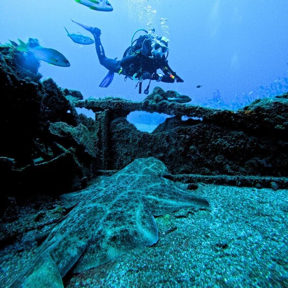 Picture 5 for Activity Tenerife: Scuba Diving for Certified Divers in Tenerife