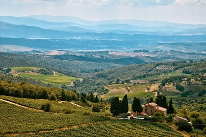 Napa Valley: tour in aereo della Napa Valley