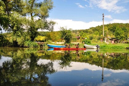 Varna: Kamchia River Kayaking Day Tour