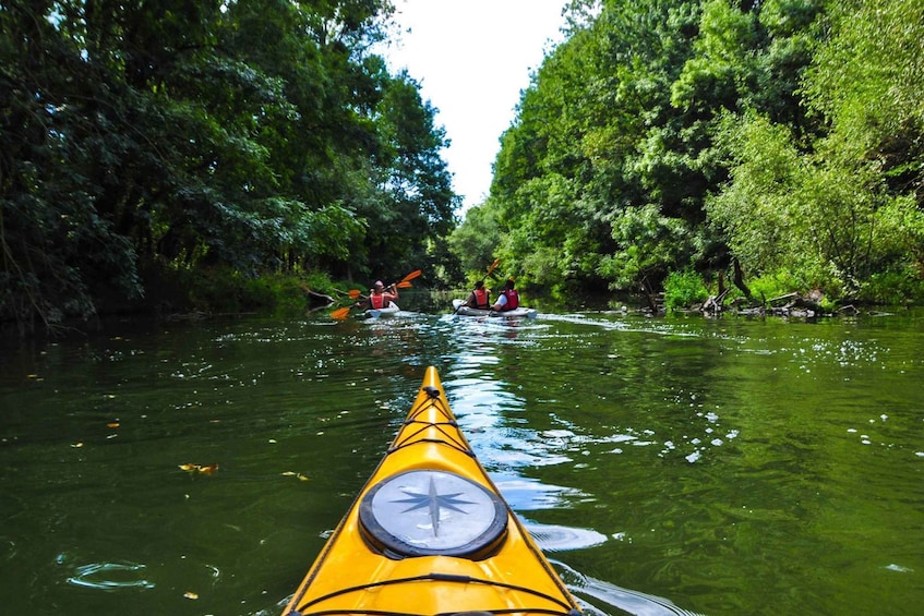 Picture 9 for Activity Varna: Kamchia River Kayaking Day Tour