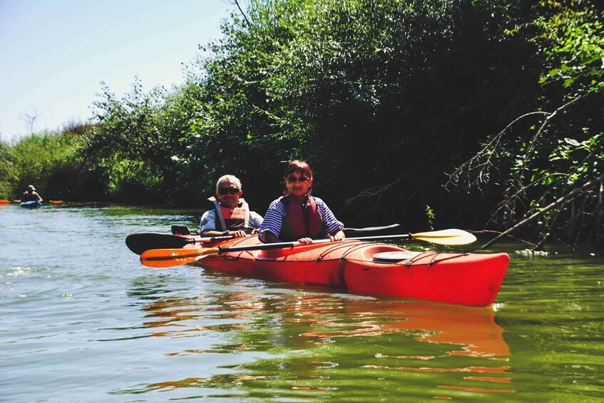 Picture 6 for Activity Varna: Kamchia River Kayaking Day Tour