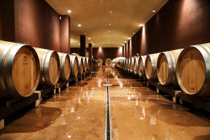 Lago di Garda: Wine Tour e Tasting Experience a Bardolino