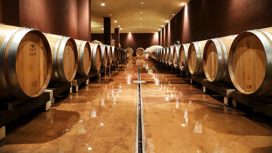 Lake Garda: Wine Tour and Tasting Experience in Bardolino