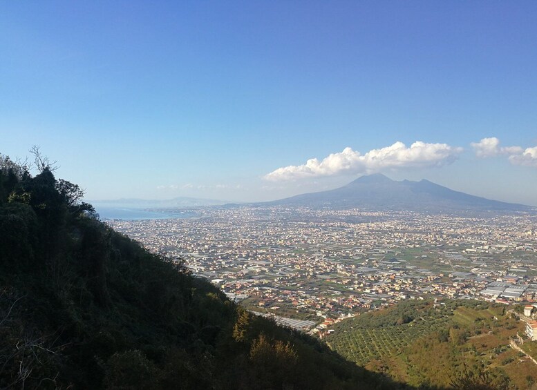 Picture 3 for Activity Mt. Vesuvius , Pompeii , Cantina del Vesuvio Winery