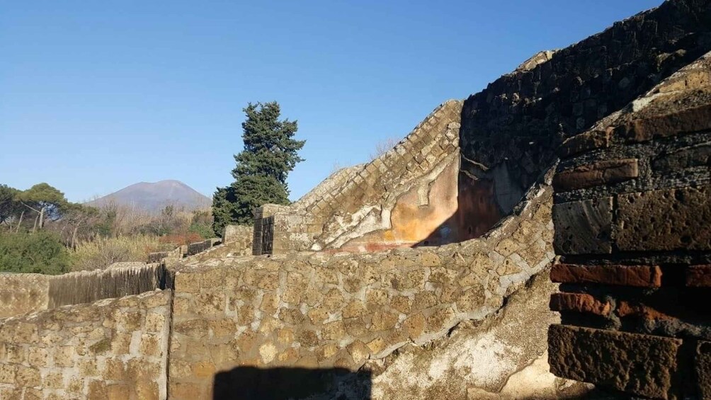Picture 4 for Activity Mt. Vesuvius , Pompeii , Bosco dei Madici Winery