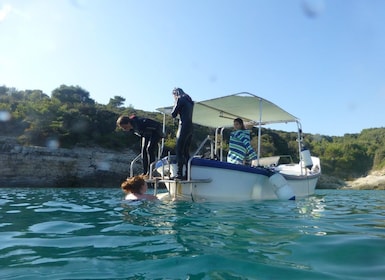 Pula: 2.5-Hour Snorkelling Experience