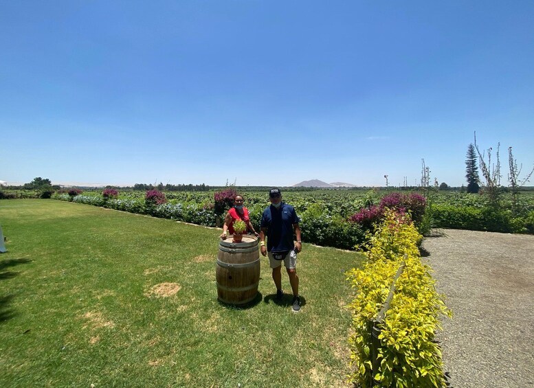 Picture 7 for Activity From Ica or Huacachina: Wine and Pisco Vineyards Tour