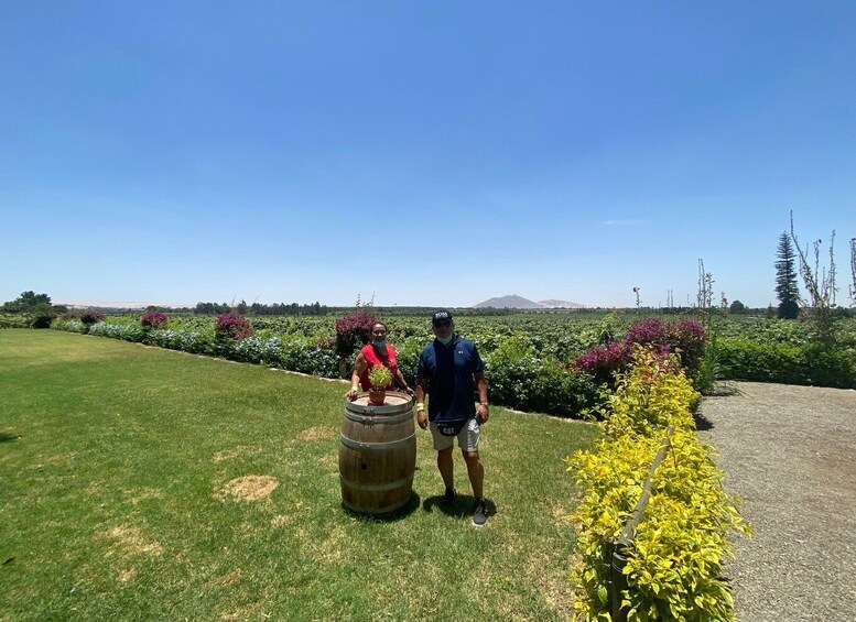 Picture 7 for Activity From Ica or Huacachina: Wine and Pisco Vineyards Tour