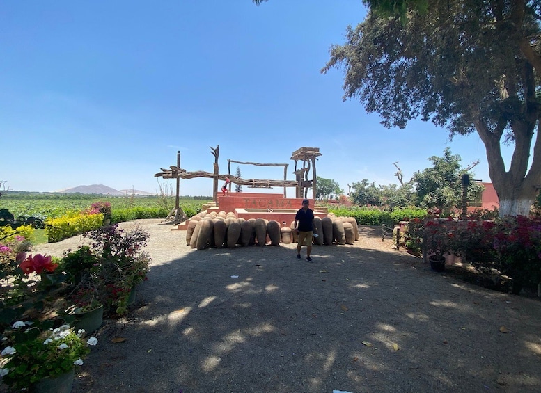 Picture 2 for Activity From Ica or Huacachina: Wine and Pisco Vineyards Tour