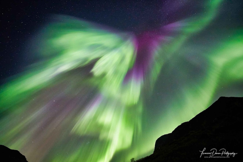 Picture 2 for Activity Tromso: Northern Lights Photo Excursion