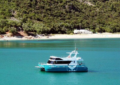 Setúbal : excursion d'observation des dauphins