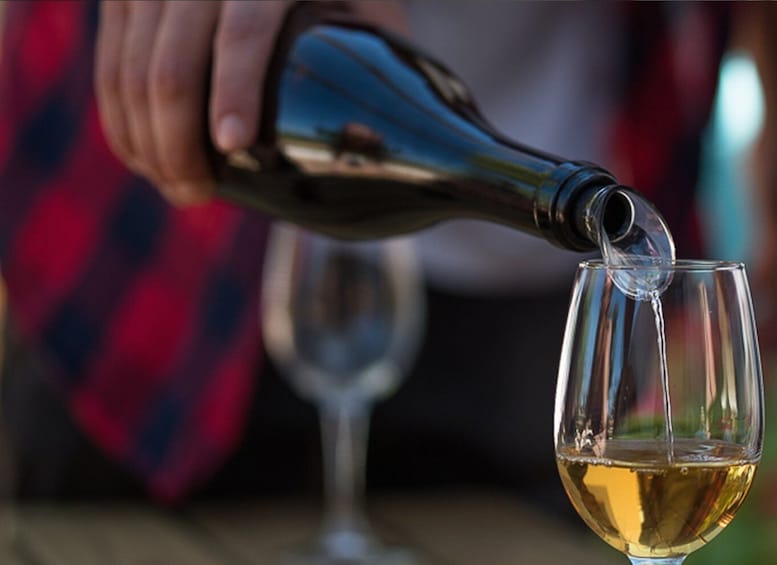 Picture 3 for Activity Albufeira and Vilamoura: Wine Tour, Tastings, Tapas & Music