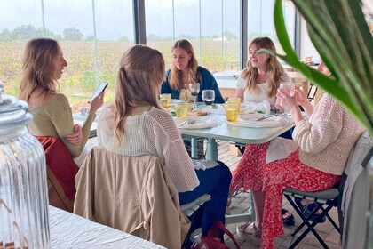 Albufeira/Porches/Vilamoura: Tast de vins amb tapes i música
