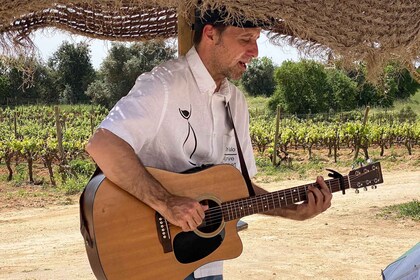 Albufeira e Vilamoura: Tour del vino, degustazioni, tapas e musica