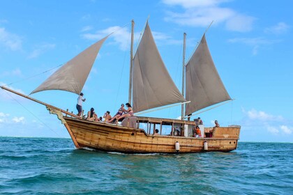 Croisière à la Sirène d'or vers l'île aux Cerfs avec déjeuner