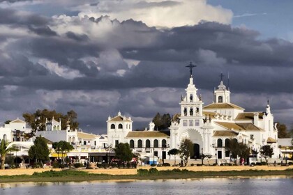 Sevilla: Heldagstur til Doñana nasjonalpark