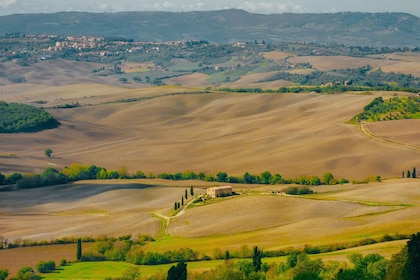 Montepulciano: ชิมไวน์และรับประทานอาหารกลางวันในโรงกลั่นเหล้าองุ่นทั่วไป