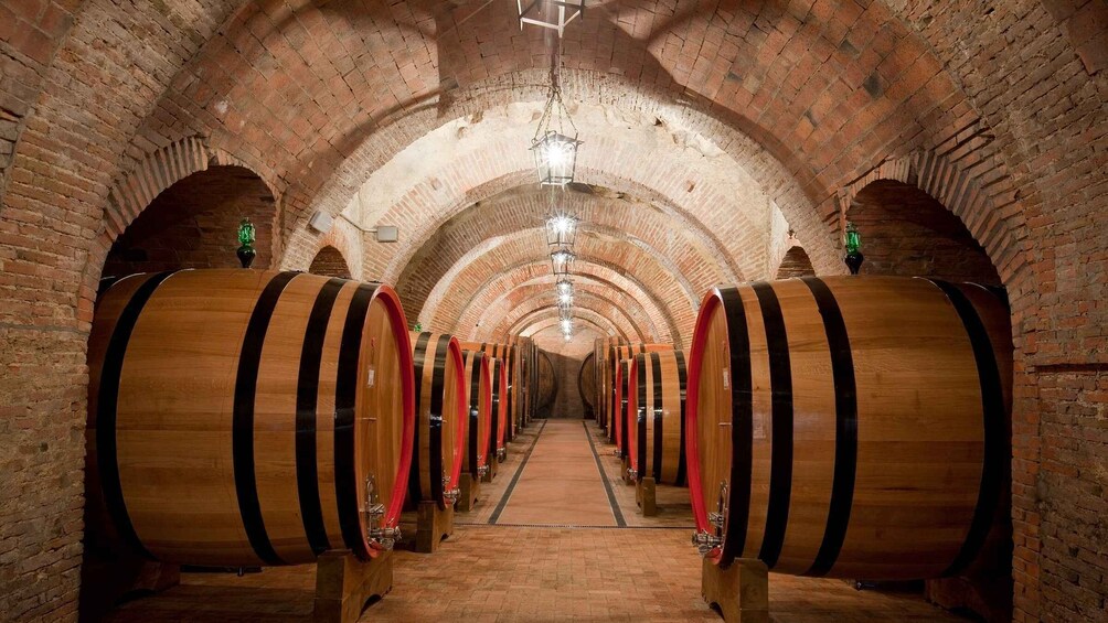 Picture 1 for Activity Montepulciano: Wine Tasting & Lunch in a Typical Winery