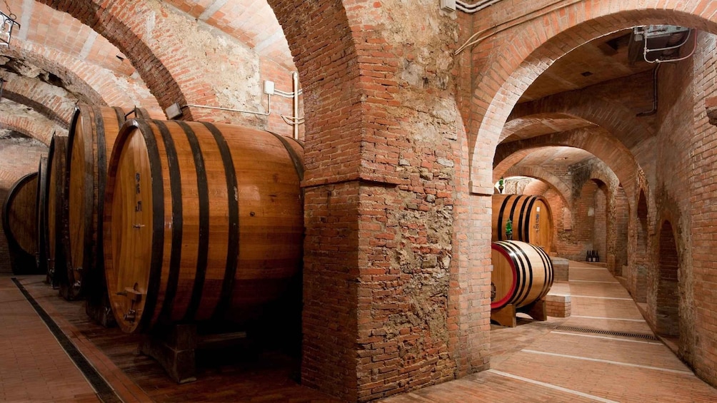 Picture 2 for Activity Montepulciano: Wine Tasting & Lunch in a Typical Winery