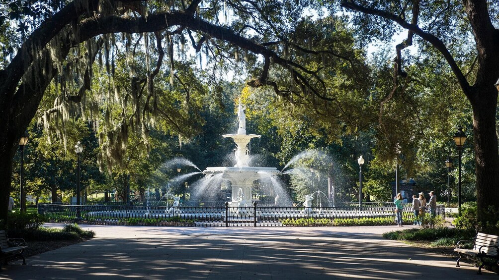 "Savannah for Morons" Comedy Trolley Tour