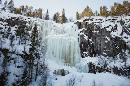 Rovaniemi: Korouoman kanjonin jäätyneet vesiputoukset Vaellusretki