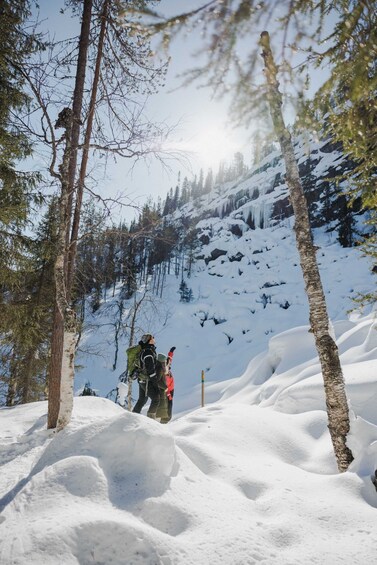 Picture 6 for Activity Rovaniemi: Frozen Waterfalls of Korouoma Canyon Hike