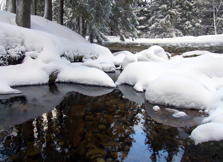 Picture 14 for Activity Rovaniemi: Frozen Waterfalls of Korouoma Canyon Hike