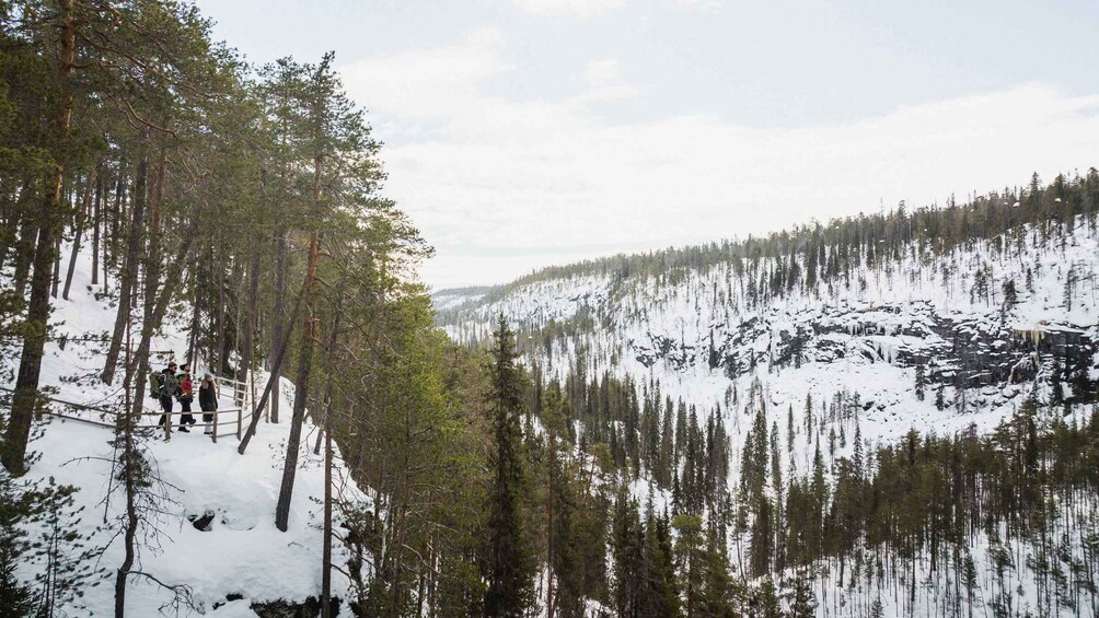 Picture 3 for Activity Rovaniemi: Frozen Waterfalls of Korouoma Canyon Hike