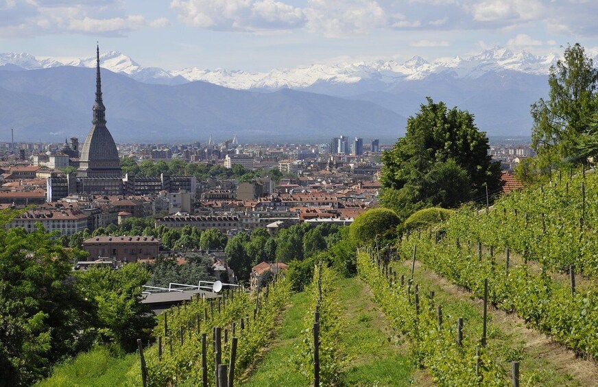 Picture 4 for Activity Turin: 2 Hour Guided Walking Tour