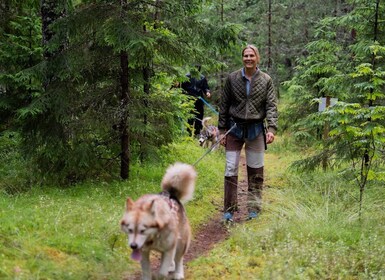From Tallinn: Husky Park Tour with Cani-Cross Hike
